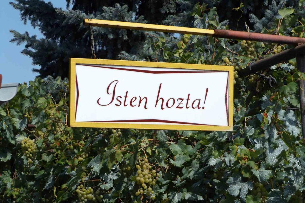 Opusztaszeri Mozes Vendeghaz Hotel Ngoại thất bức ảnh